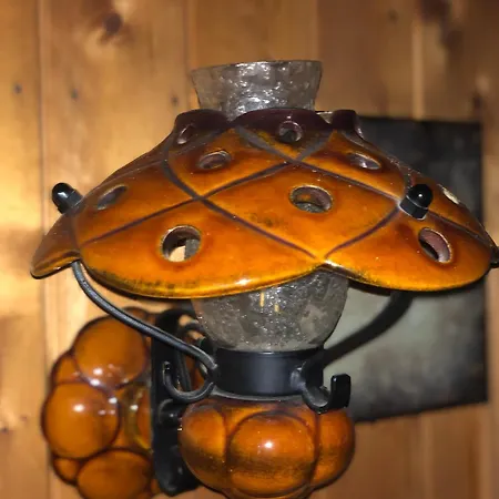 Authentiek, Vintage Aan De Bosrand Chalet *