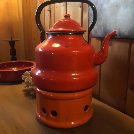 Authentiek, Vintage Aan De Bosrand Chalet