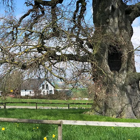 Authentiek, Vintage Aan De Bosrand Chalet *