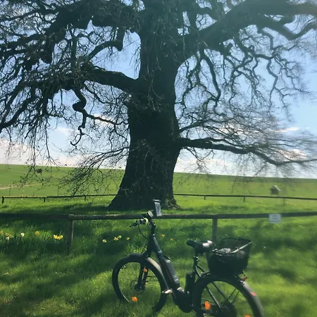 Authentiek, Vintage Aan De Bosrand Chalet Weyer (Rhein-Lahn)