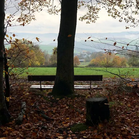 Authentiek, Vintage Aan De Bosrand