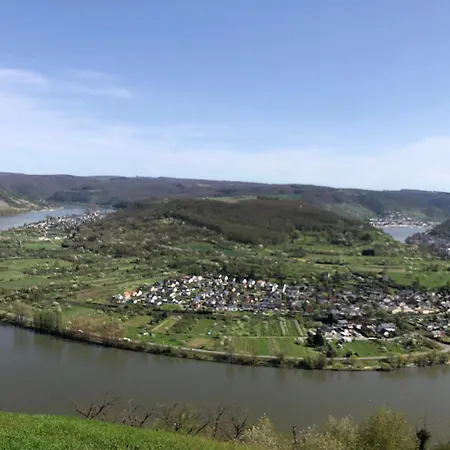 Authentiek, Vintage Aan De Bosrand