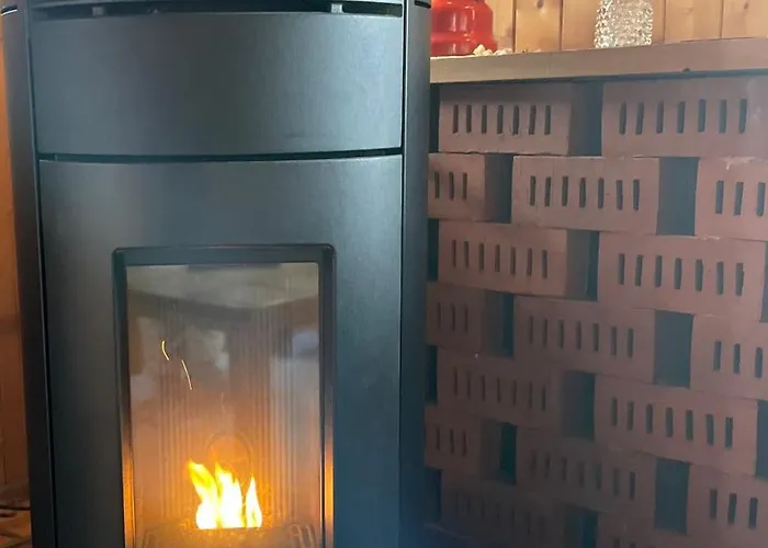 Authentiek, Vintage Aan De Bosrand