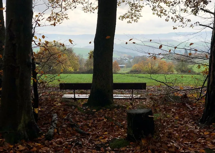 Authentiek, Vintage Aan De Bosrand