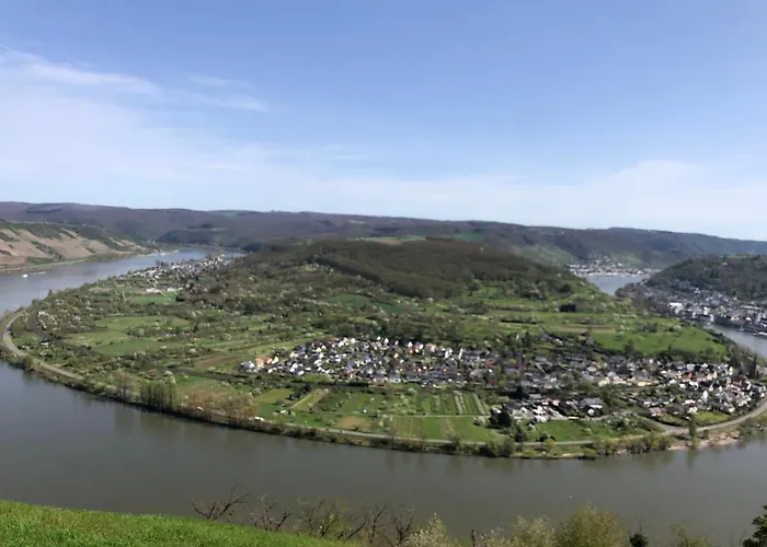 Authentiek, Vintage Aan De Bosrand